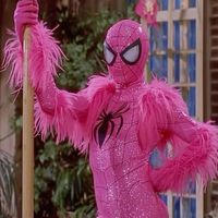 cocospidey