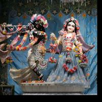muskan.patel95