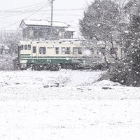 nyabi_1057f