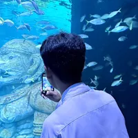 ย้อนยุค