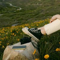 nhạc nền - DTTDaily