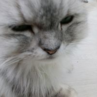 오리지널 사운드 - 아저씨