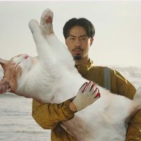 lily_kut3