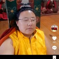 tashi7397