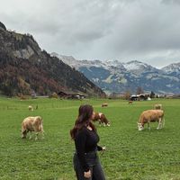 original sound - cic