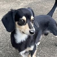 hiro.daifuku