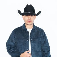 janmauleon