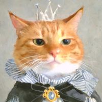 nhạc nền - Meowne