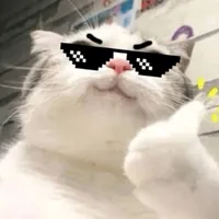 original sound - berryxbeat