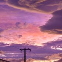 オリジナル楽曲 - Niq