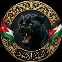 fahedsafy
