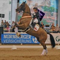 valegro_editsxx