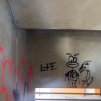 lorkiiii.dr01