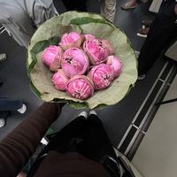 เสียงต้นฉบับ - ⋆ ੈ‧+ ̊꒰ 나노 ꒱⋆ ̊ ༘♡