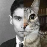 _cub1cl3z_