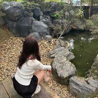 vevenicc