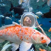 original sound - Mr&MrsBalle