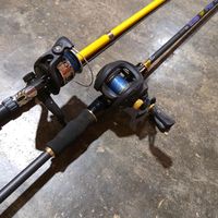 angler.casting.fisihing