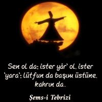 orijinal ses