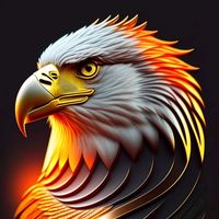 farooqhussain992