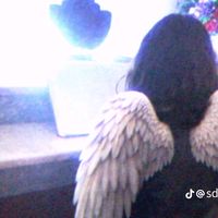 momorpt_123