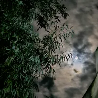 لكن لنا فيه ظنٌ