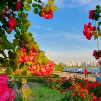 原声 - 북촌369🎋🎶