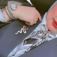shody_iq