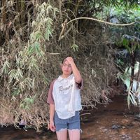 noung.pwint6