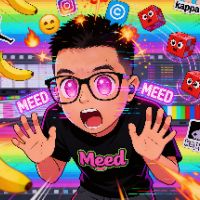 meedtiktok