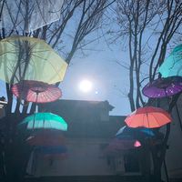 オリジナル楽曲 - ⋆⸜🐬⸝⋆しのᒼᑋan♥︎サブ⋆⸜🐬⸝⋆