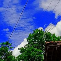 suara asli - BLACK_AUNALTM.1995