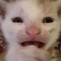 original sound - LXYZ REmix