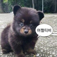 오리지널 사운드 - 슬라임편집일기