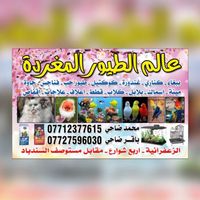 الصوت الأصلي