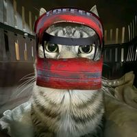 оригинальный звук