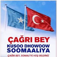 shugridhuumeey