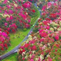nhạc nền - 🇻🇳⏯️ Cảnh Đẹp Mỗi Ngày