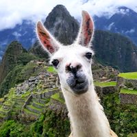 sonido original - Picchu Travel