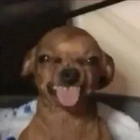 original sound - akiahikaru