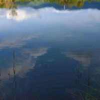 เสียงต้นฉบับ - TT