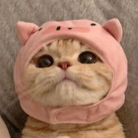 オリジナル楽曲 - ✨