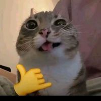 suara asli - Altoy