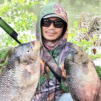 mardiansyahsyah60