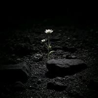 សំឡេងដើម - 🙂____SAD____🥀