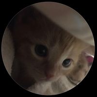 nhạc nền - Cậu  bé  hay suy😣💦