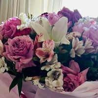 ali.deniz6289