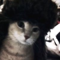 jiah_abcd