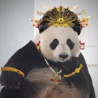 nhạc nền - Chấn Sinh lão sư 🪷🪷