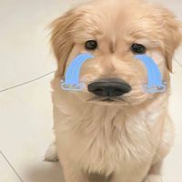 เสียงต้นฉบับ